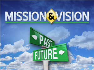 image-MS vision 